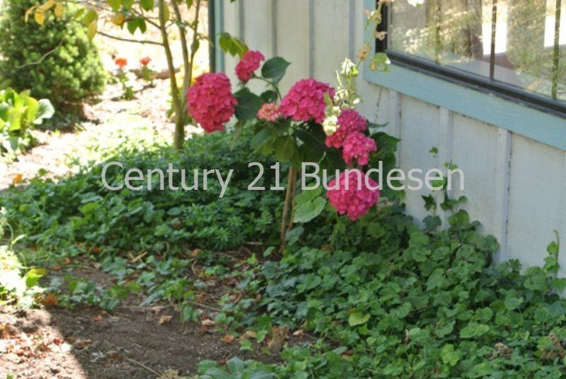 11805 Mill St - Photo 2 of 26