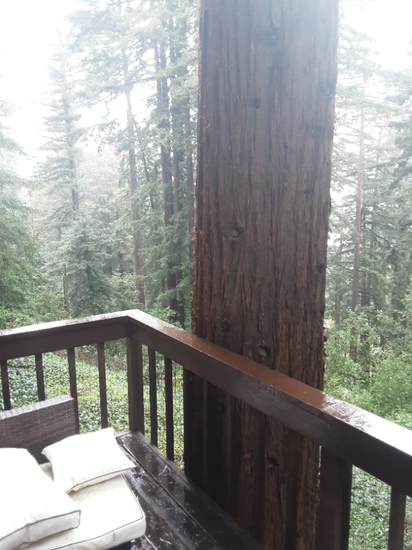 17657 Navajo Trl - Photo 2 of 11