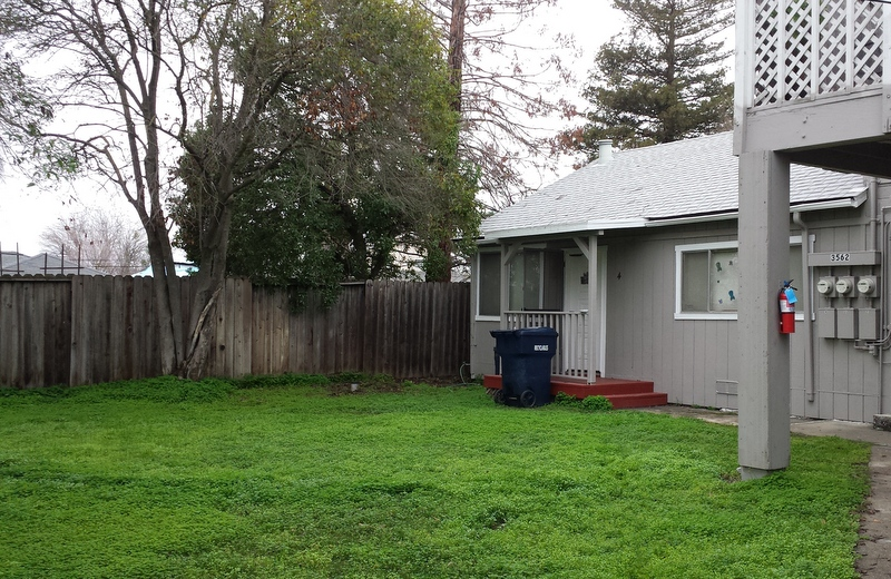 3562 1st St #4 - Photo 2 of 6