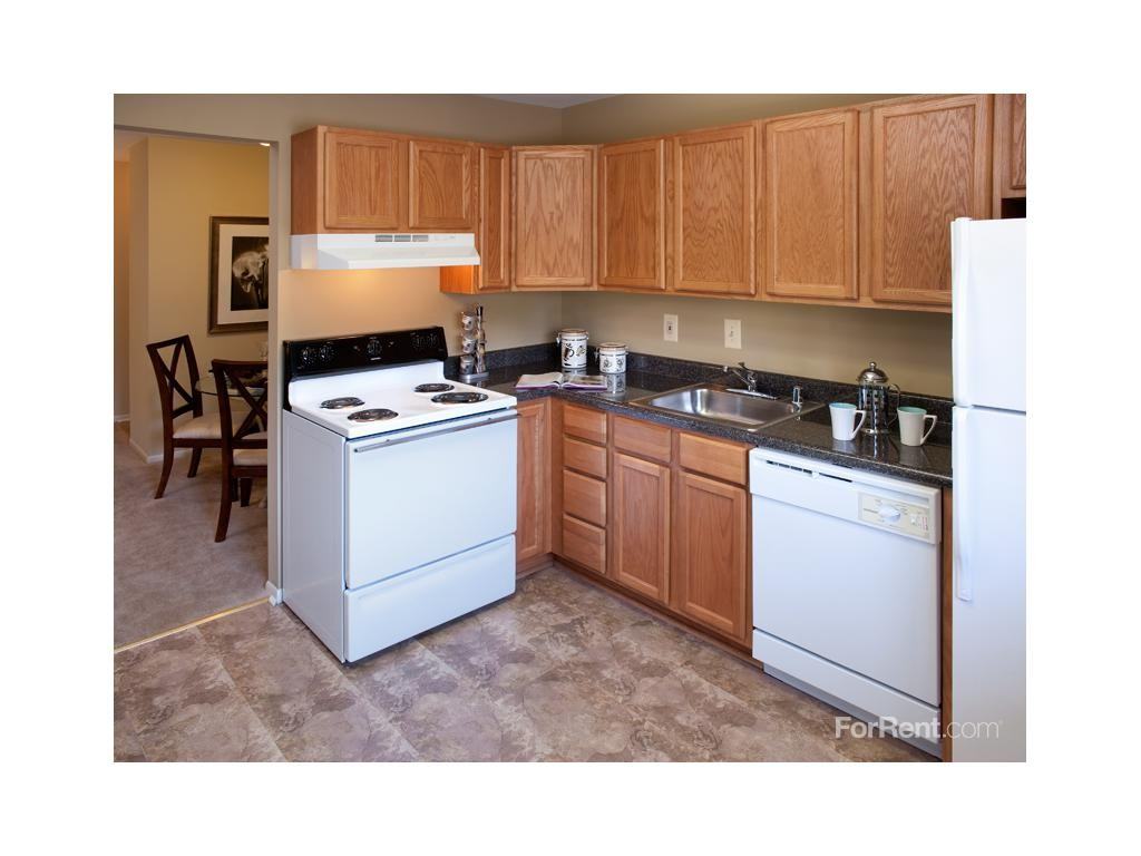 Autumn Woods - Photo 2 of 8