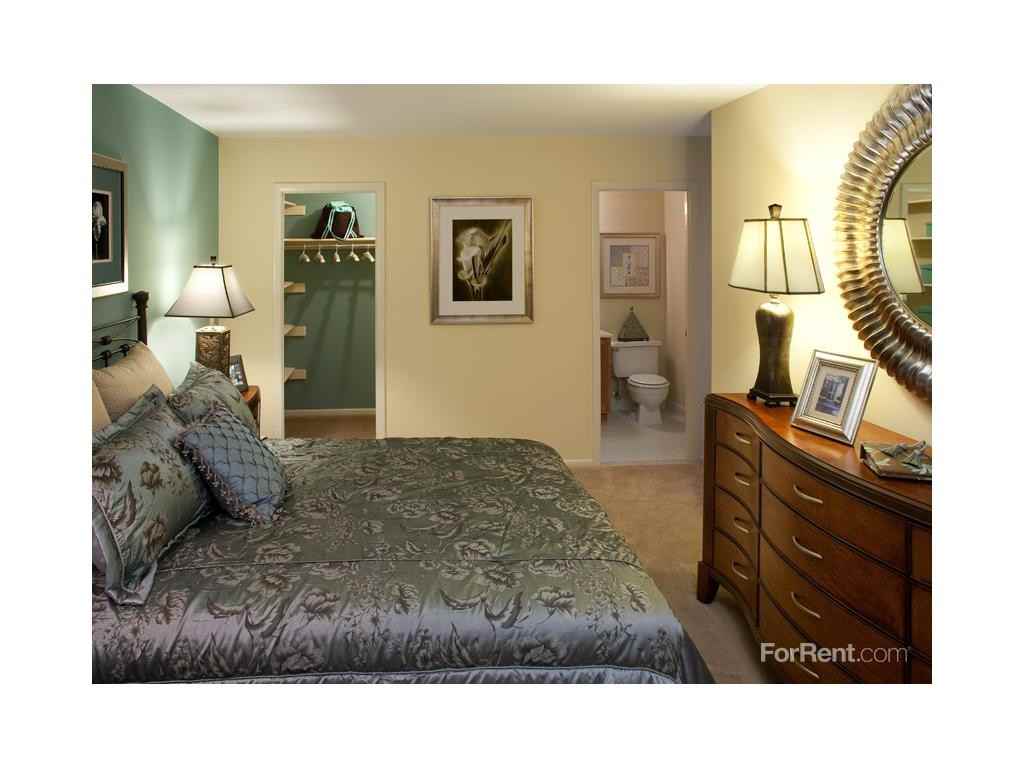 Autumn Woods - Photo 3 of 8