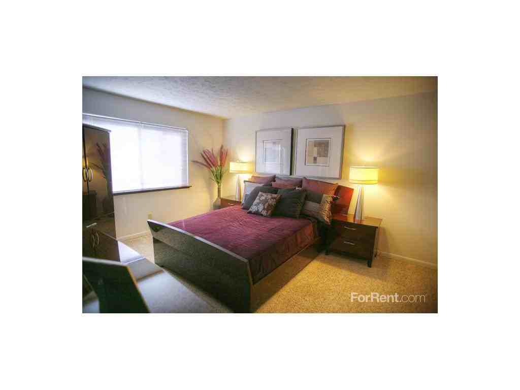 AppleTree - Photo 3 of 19