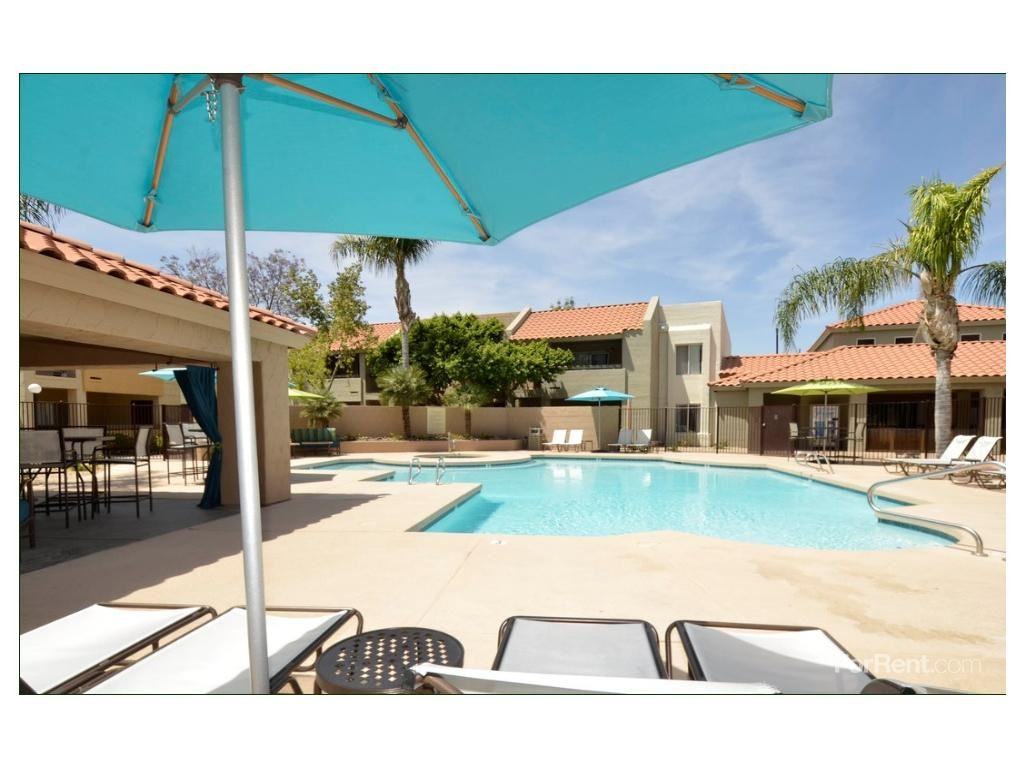 Paseo Park - Photo 3 of 19