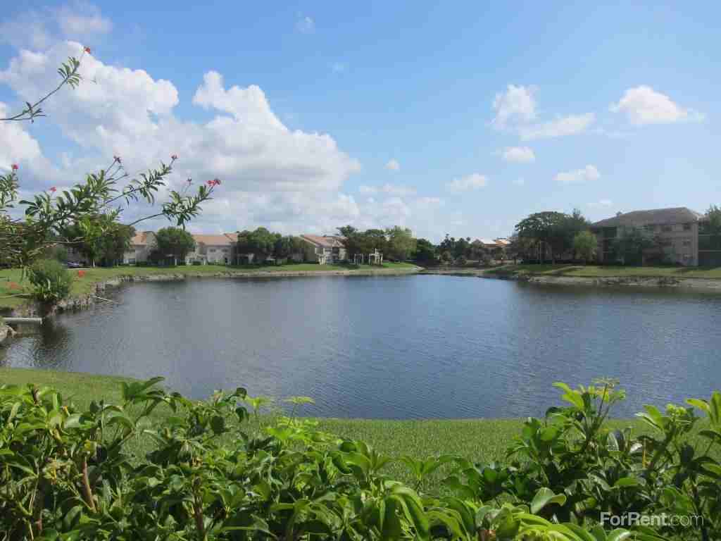 Coral Falls - Photo 3 of 19