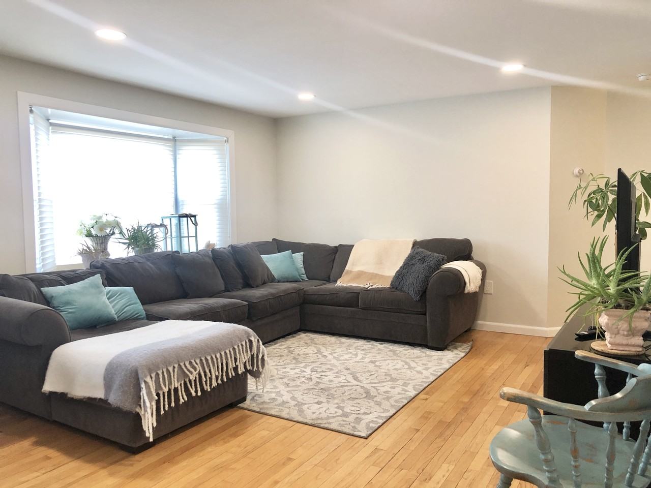 7 Farrell Street - Photo 3 of 14