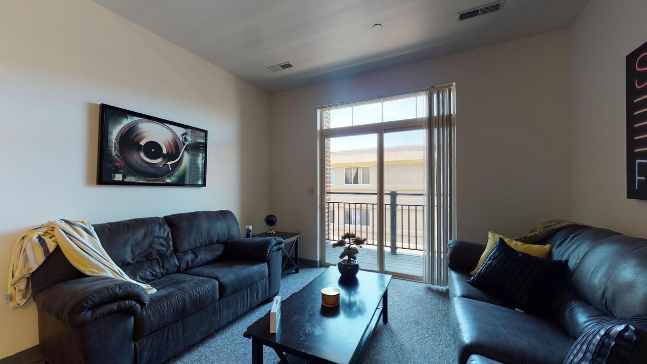 Telluride Apartments - Photo 5 of 47