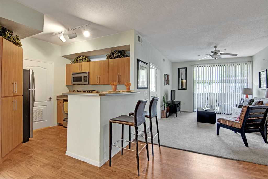 Acclaim - Photo 3 of 15