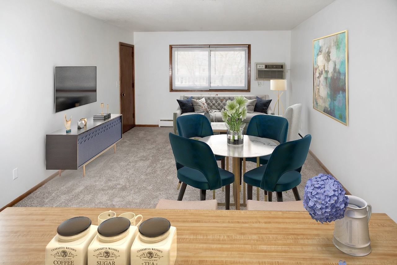 Nicollet Court - Photo 6 of 15