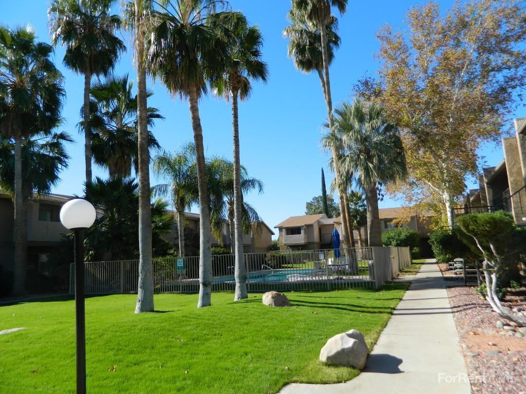 Shadowtree Apartments - Photo 3 of 20