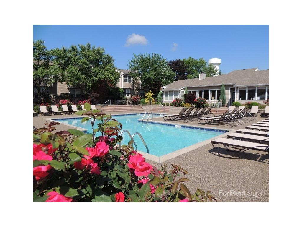 Chestnut Ridge - Photo 2 of 12