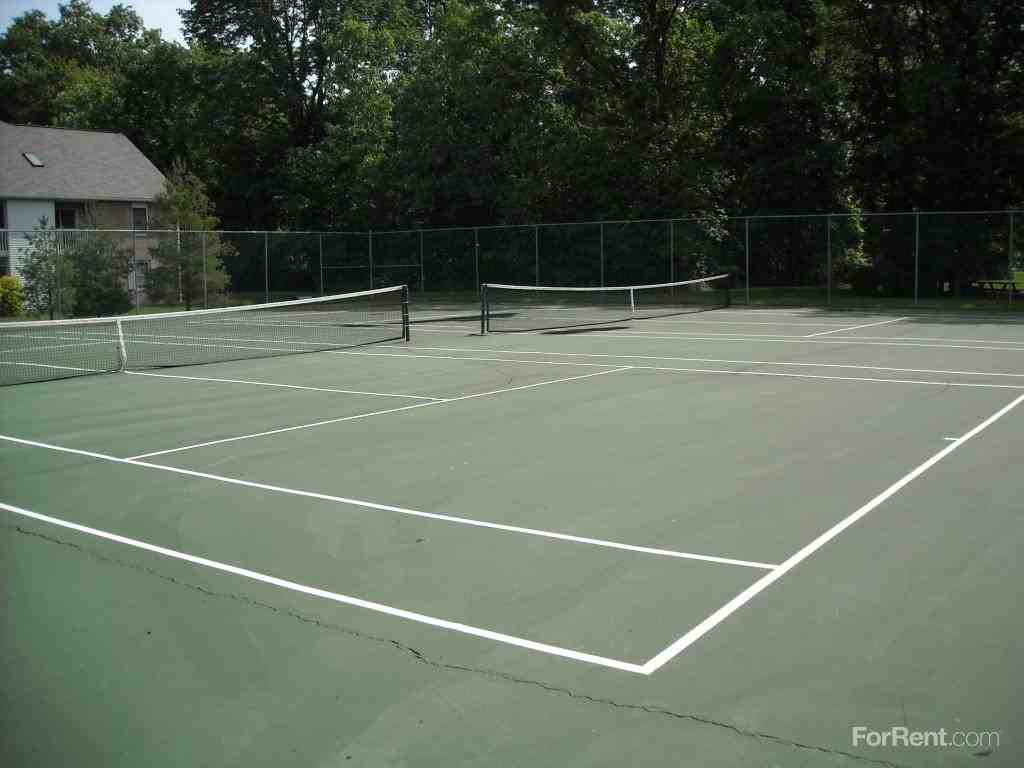 Yorkshire Woods - Photo 3 of 18