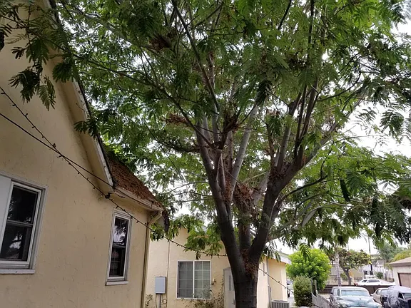 20709 Kenwood Ave - Photo 2 of 6