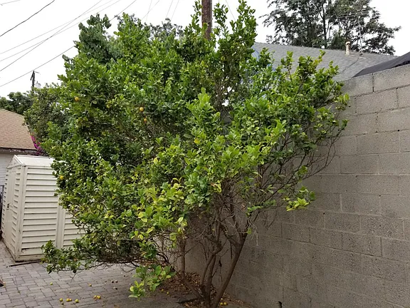 20709 Kenwood Ave - Photo 3 of 6