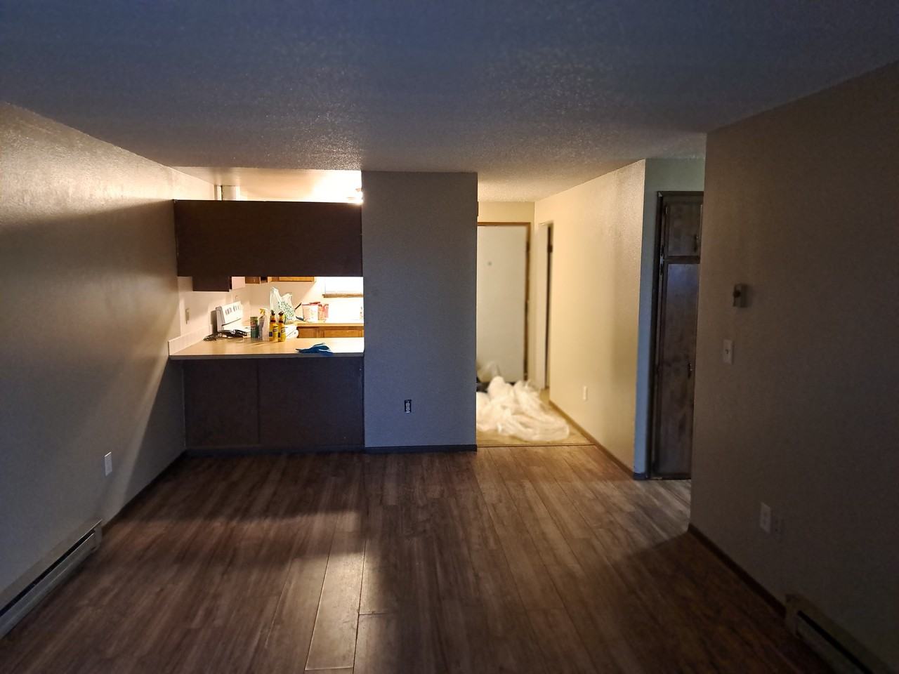 E 1st Ave #1 - Photo 2 of 12