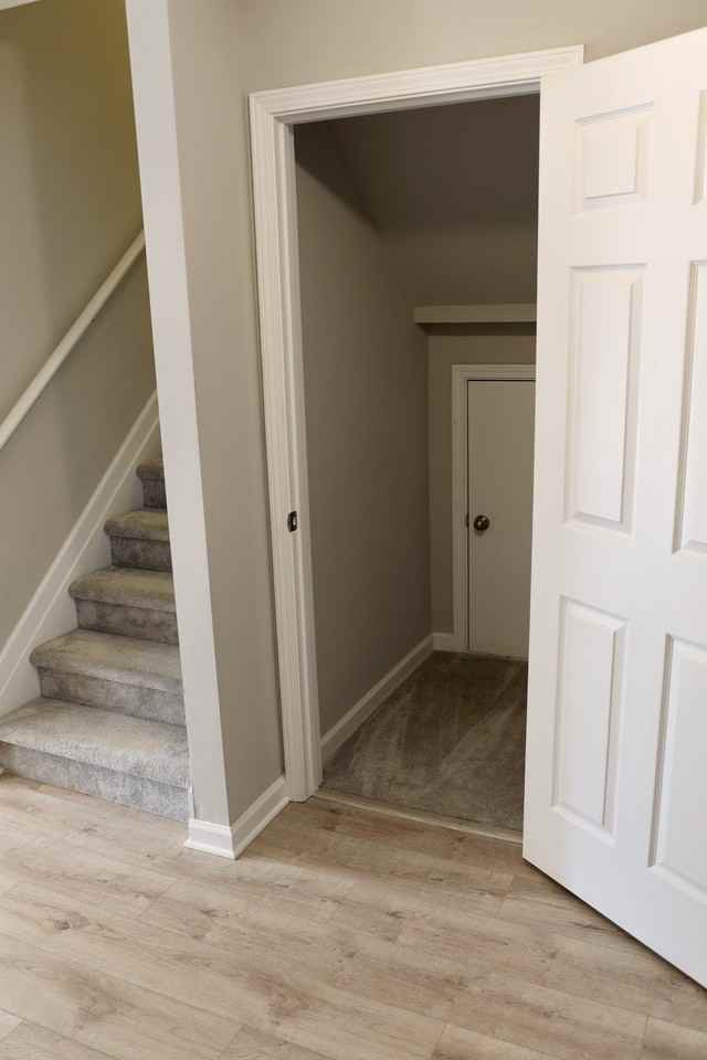 5350 Prancing Pass #BS - Photo 3 of 20