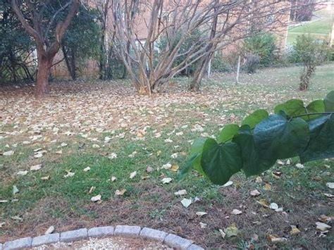 619 Cleveland Ave #A - Photo 3 of 14