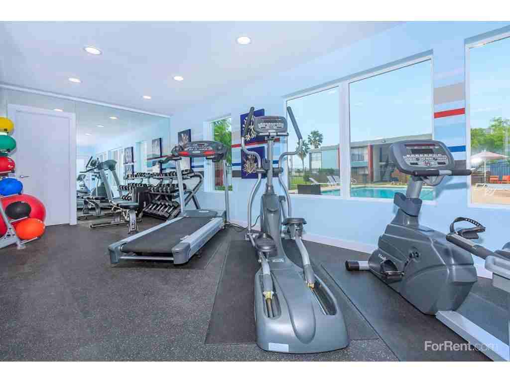 The Waters - Photo 3 of 20