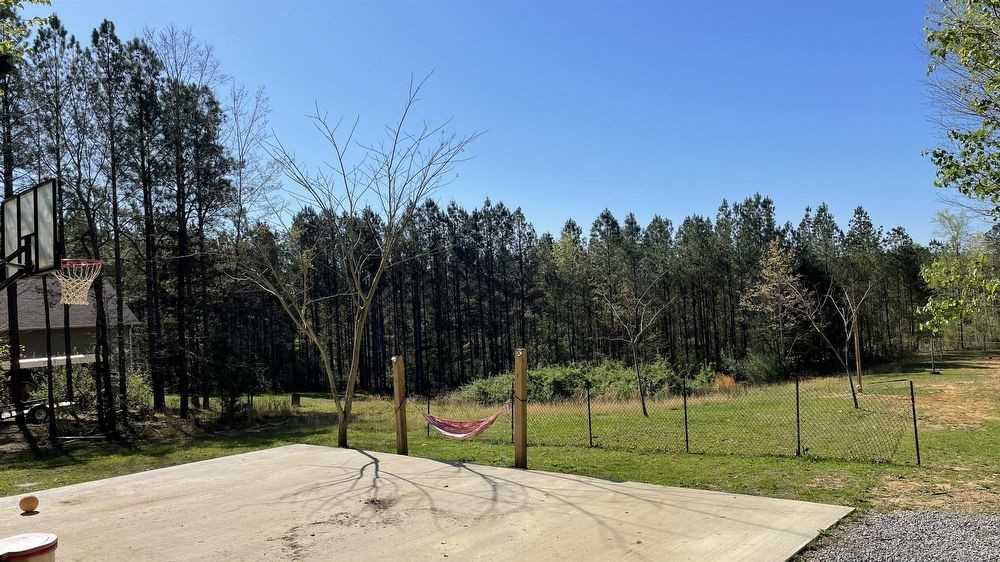 146 County Road 677 - Photo 3 of 21