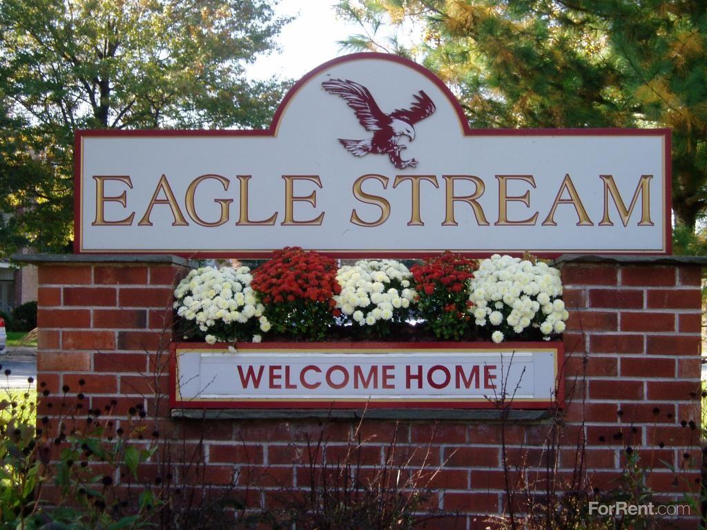 Eagle Stream - Photo 3 of 19