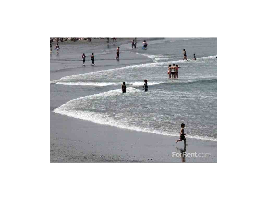 The Estates - Photo 3 of 12