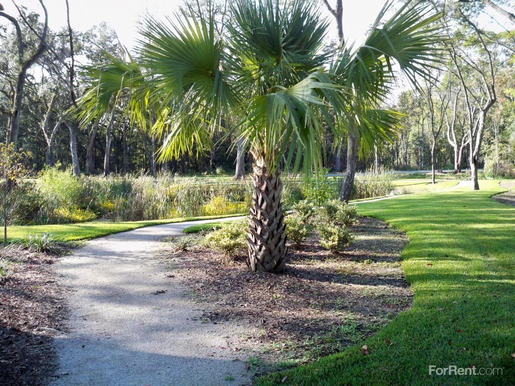 Ashton Pointe Apartment Homes - Photo 2 of 19