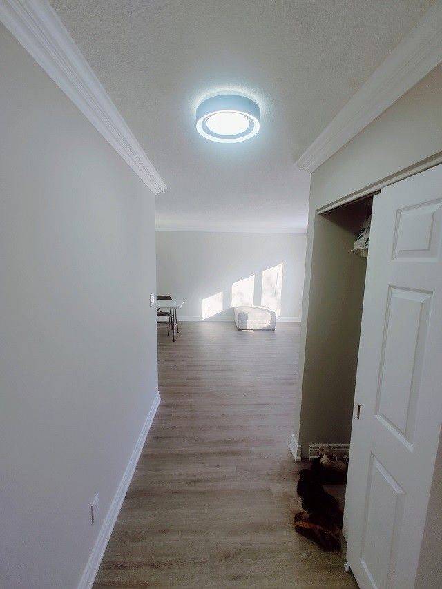 972 Killarney Crescent - Photo 3 of 31