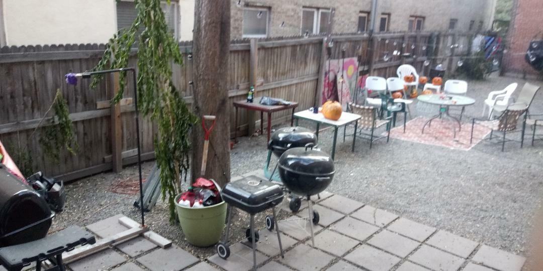 1107 N Pennsylvania St #11 - Photo 3 of 15