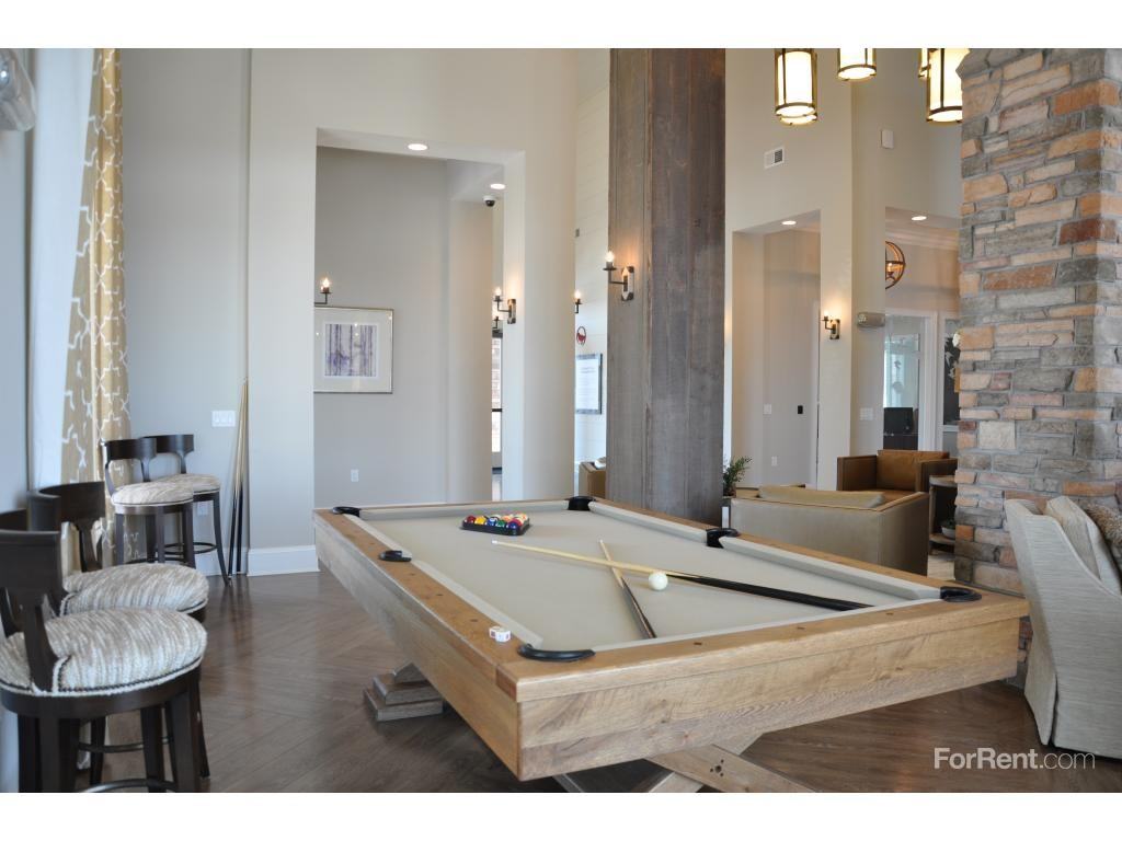 Red Knot at Edinburgh - Photo 2 of 19