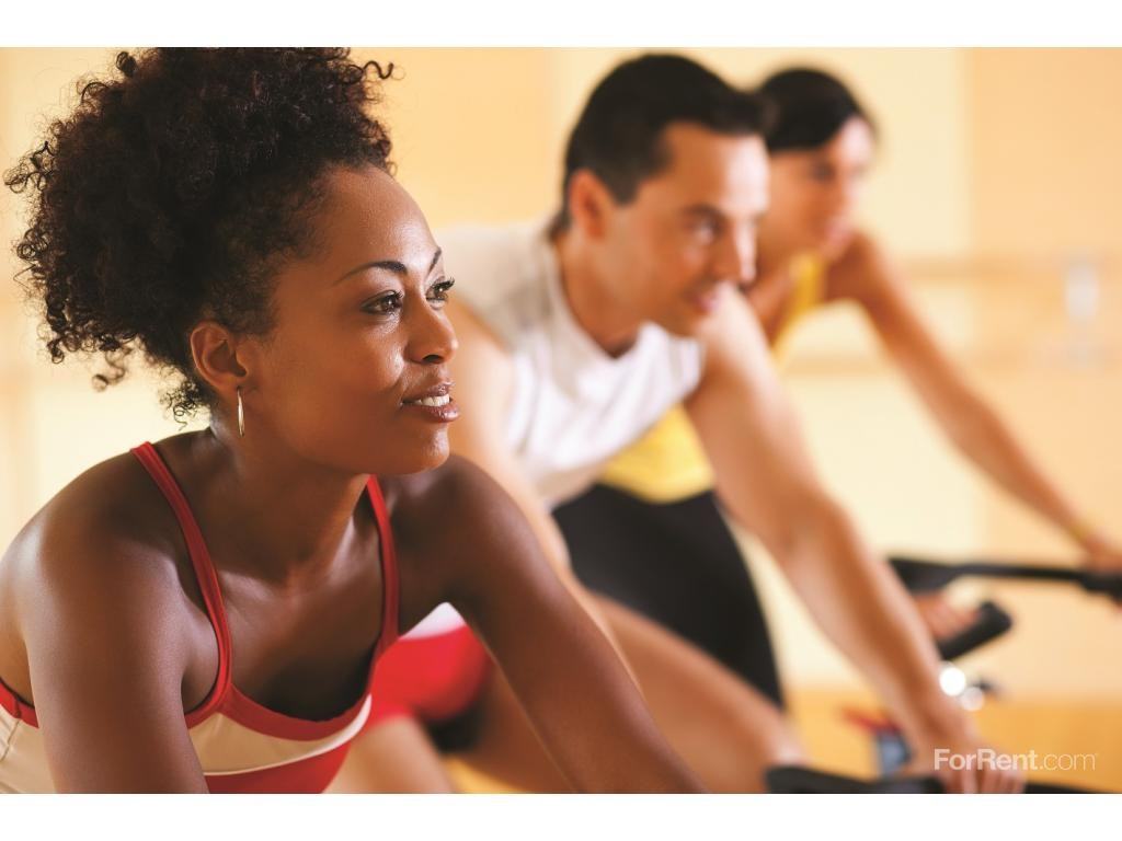 The Oaks of Vernon Hills - Photo 3 of 19