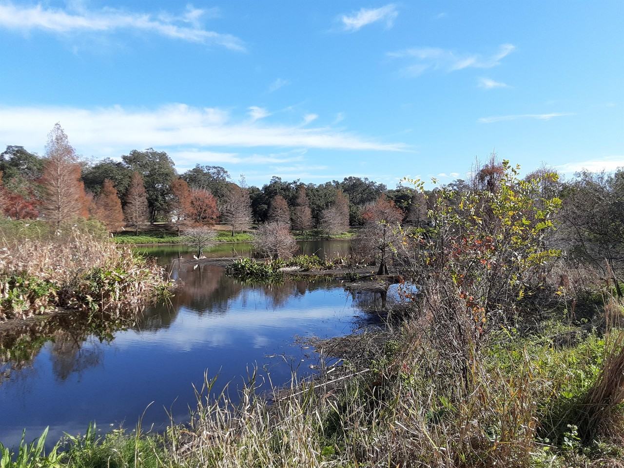 616 S Betty Ln #616-1 - Photo 3 of 17