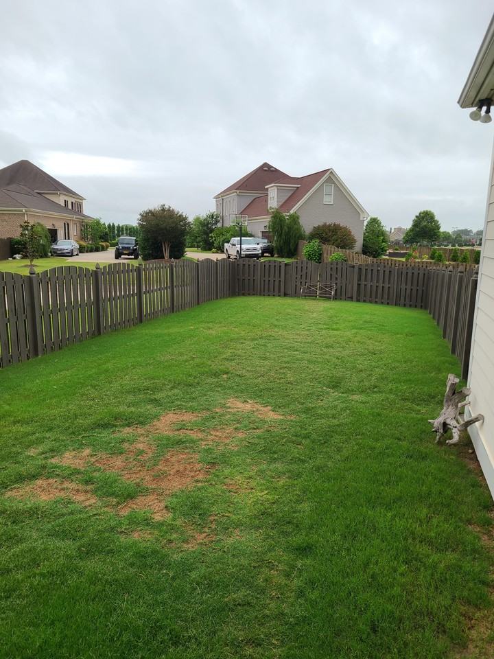 34 Silky Oak Cir Sw #NA - Photo 3 of 12