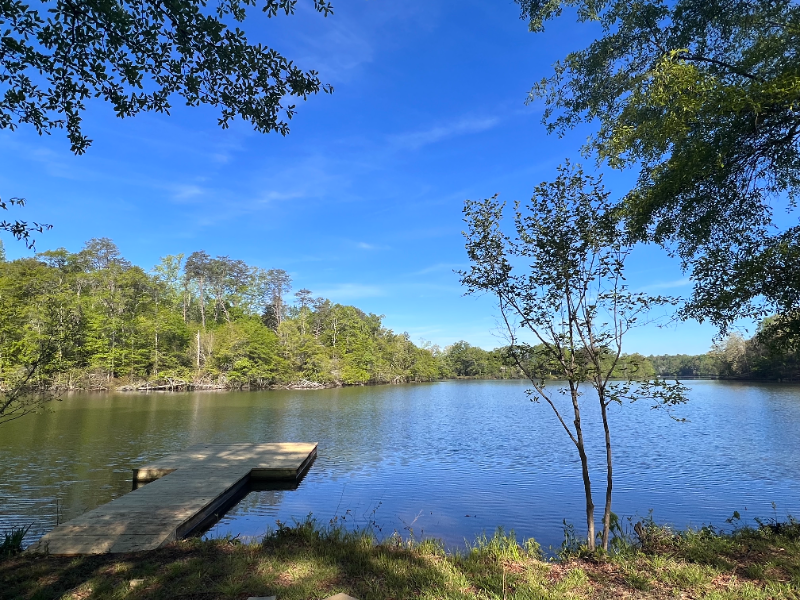 11 Tiny Time Ln - Photo 2 of 12