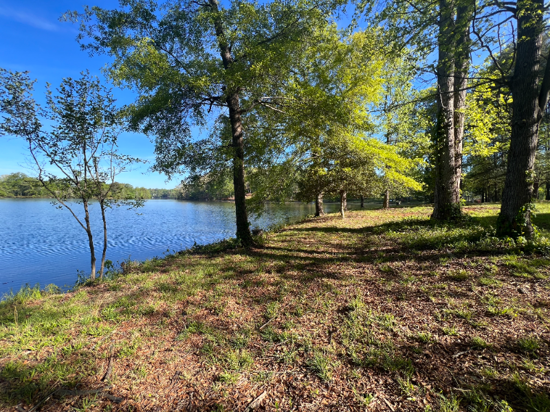 11 Tiny Time Ln - Photo 3 of 12