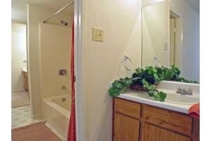 South Grand at Pecan Grove - Photo 2 of 33