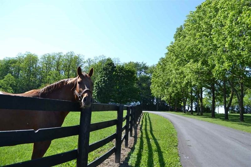 1029 Co Rd 70 - Photo 2 of 33