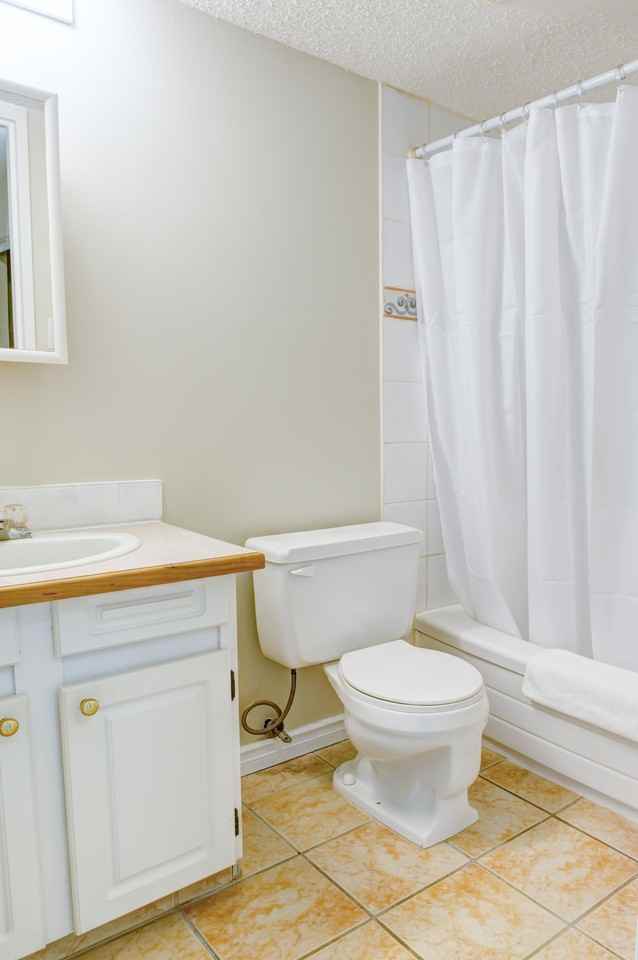 Snowbird Manor - Photo 5 of 5