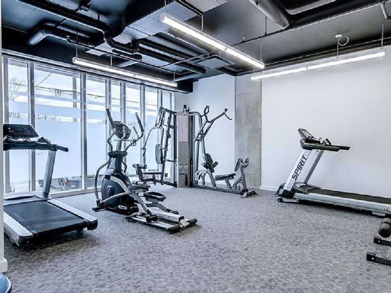 Le Vibe - Photo 6 of 14