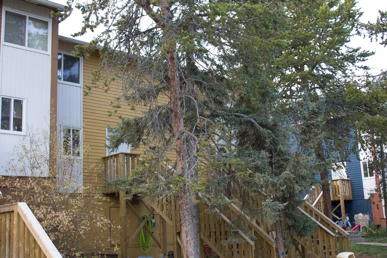 Greenstone Place - Photo 3 of 4