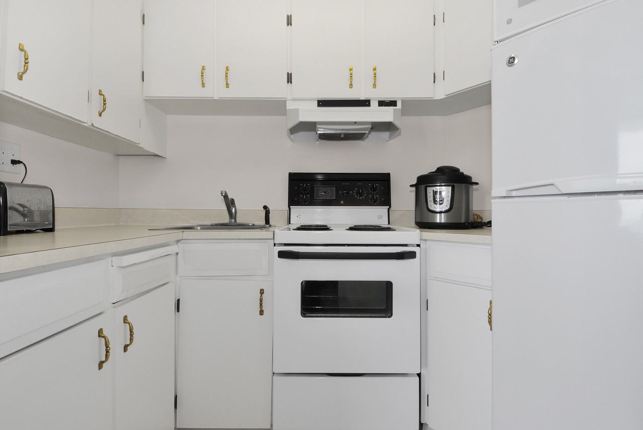 Beach Towers Pet Friendly - Photo 2 of 15