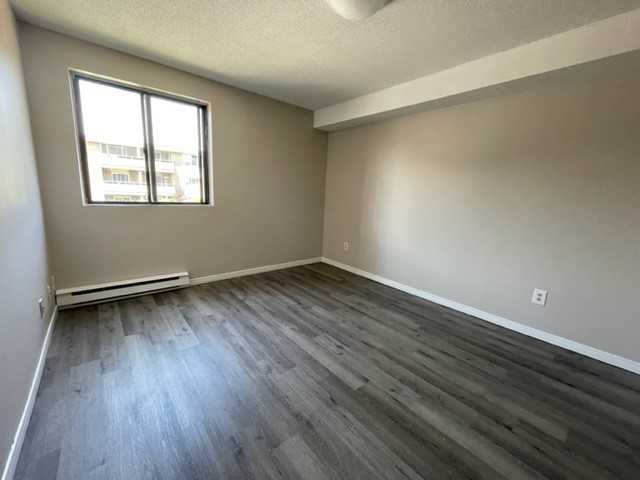 37 Rykert Street Apartments 37 Rykert St, St. Catharines, ON L2S 3S5