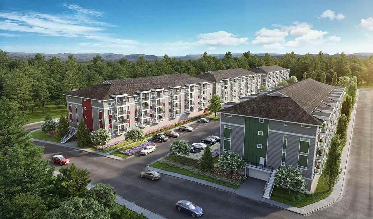 Apartments For Rent In Pg