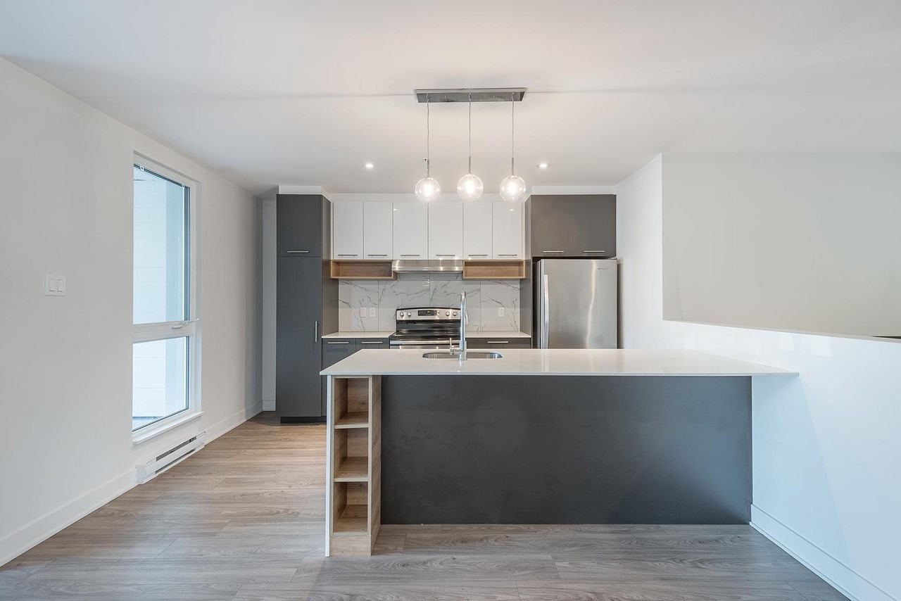 9675 Avenue Papineau - Photo 3 of 24