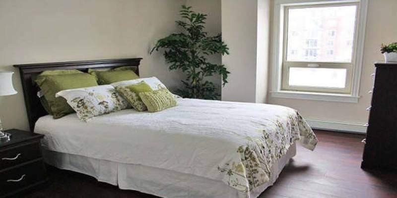 Palace Royale Apartments 333 Main Ave, Halifax, NS B3S 0B6 Zumper