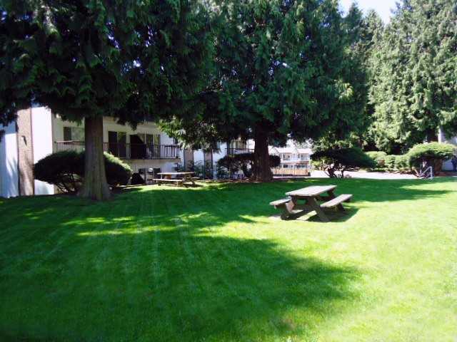 Villa Vista Apartments 33292 Robertson Ave, Abbotsford, BC V2S 1Z4