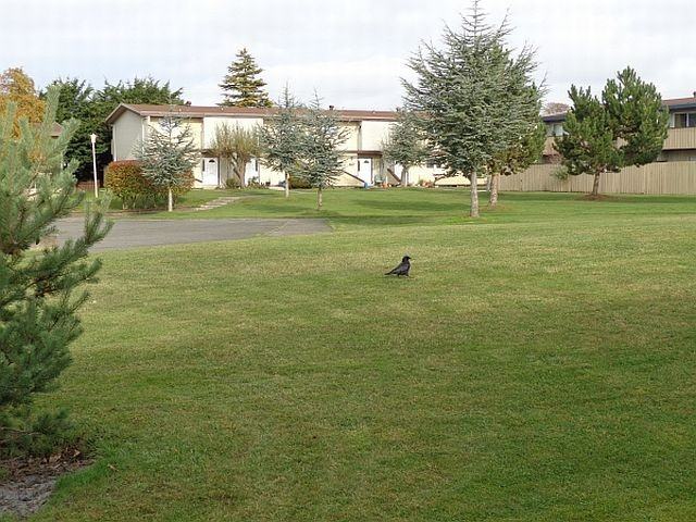 Pinewood Estates Townhouses Apartments 1780 Forest Rd, Saanich, BC