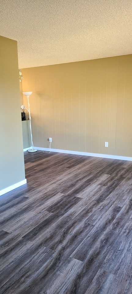 Bright 3 bed 1 bath house*Double detached garage*fenced yard*Shed! - Photo 2 of 38