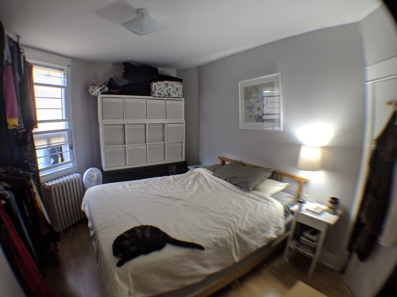 1568 Bloor Street West - Photo 3 of 10