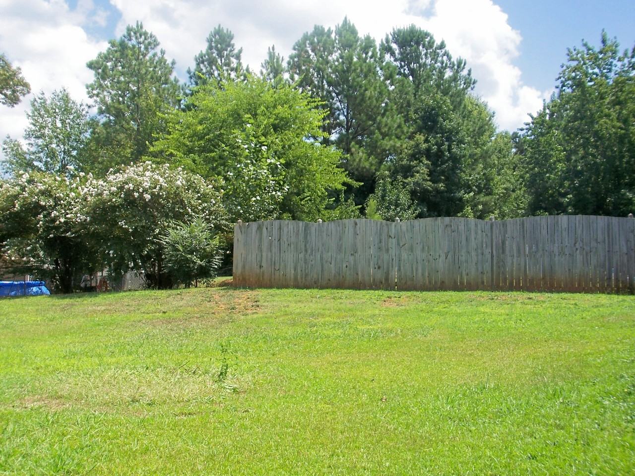 163 Firebridge Drive - Photo 2 of 18