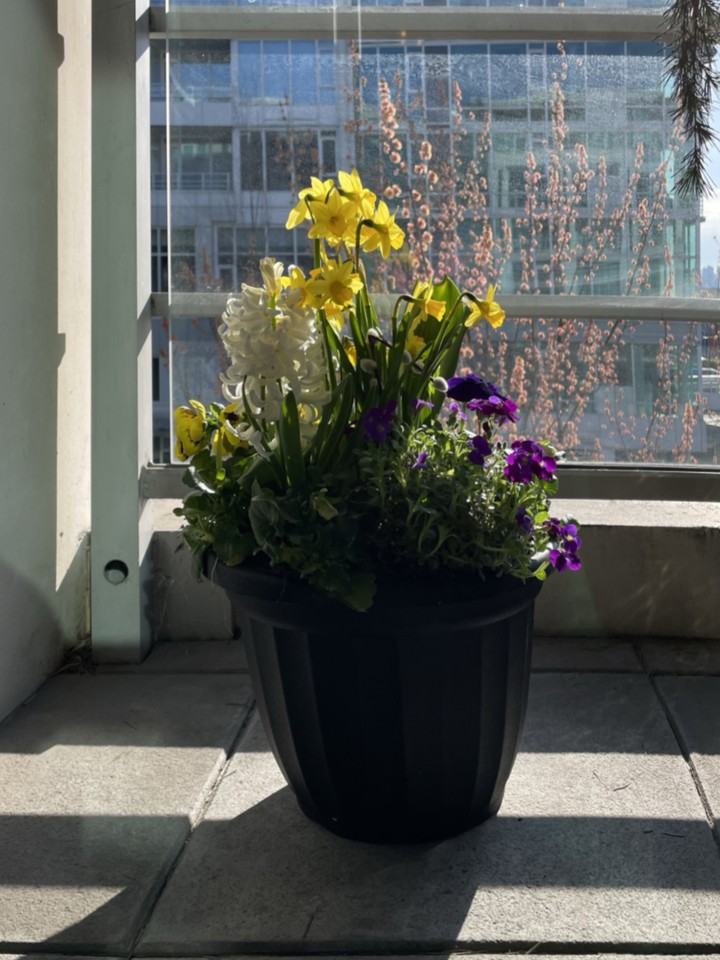 100 Esplanade East ##307 - Photo 3 of 22