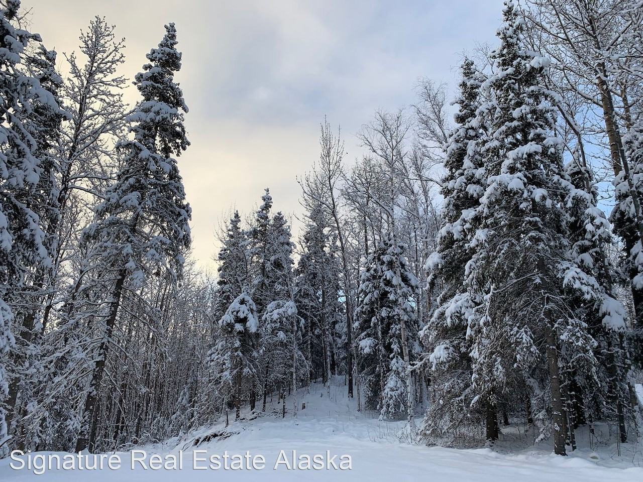 2321 S Colleen St - Photo 3 of 15